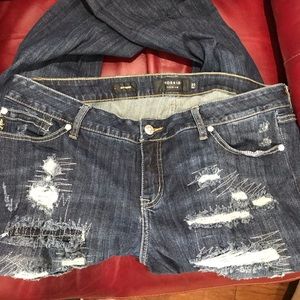 Torrid Boyfriend Jeans